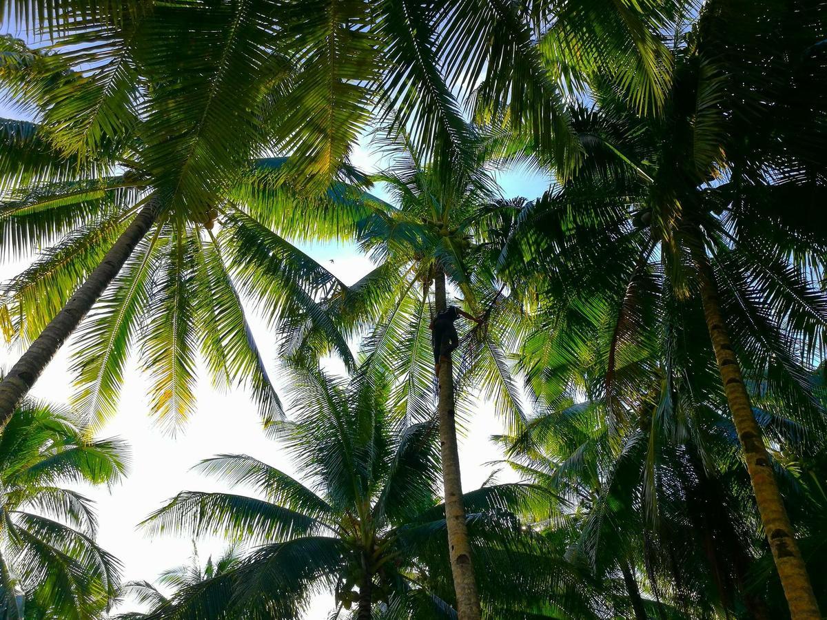 Siargao Residency Lejlighed Union  Eksteriør billede
