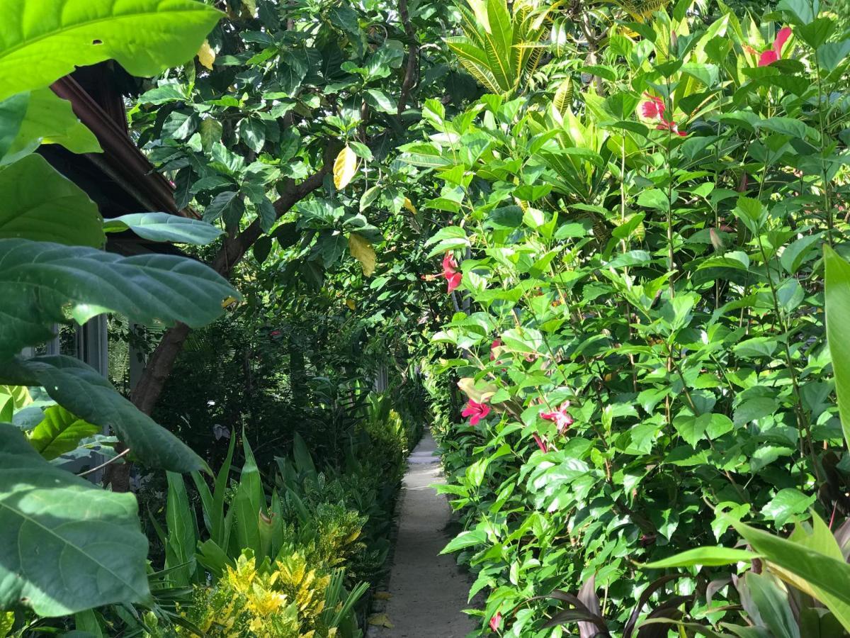Siargao Residency Lejlighed Union  Eksteriør billede