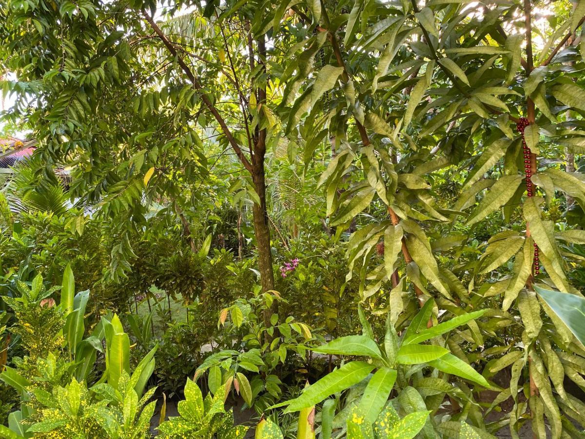 Siargao Residency Lejlighed Union  Eksteriør billede
